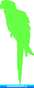 Samolepka Papoušek 001 levá Fluorescentní zelená