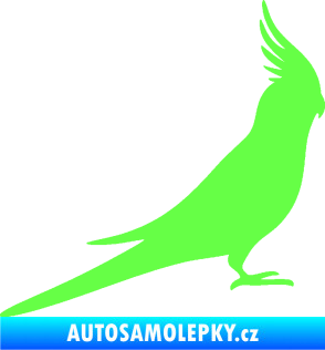Samolepka Papoušek 002 pravá Fluorescentní zelená