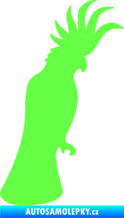Samolepka Papoušek 003 pravá Fluorescentní zelená