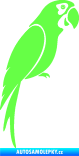 Samolepka Papoušek 009 pravá Fluorescentní zelená