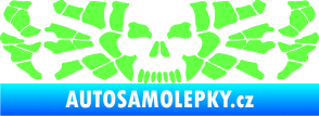 Samolepka Pavouk 017 smrťák Fluorescentní zelená