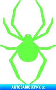 Samolepka Pavouk 021 Fluorescentní zelená