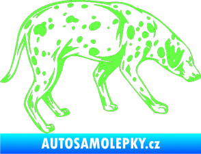 Samolepka Pes 001 pravá Dalmatin Fluorescentní zelená