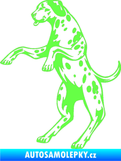 Samolepka Pes 003 levá Dalmatin Fluorescentní zelená