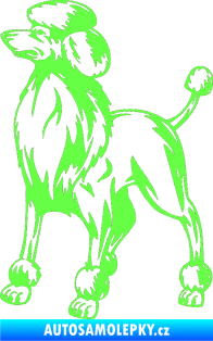 Samolepka Pes 014 levá Pudl Fluorescentní zelená