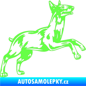 Samolepka Pes 015 pravá Bulteriér Fluorescentní zelená