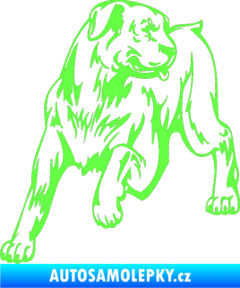 Samolepka Pes 020 levá Fluorescentní zelená