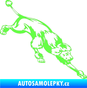 Samolepka Pes 022 pravá Pudl Fluorescentní zelená