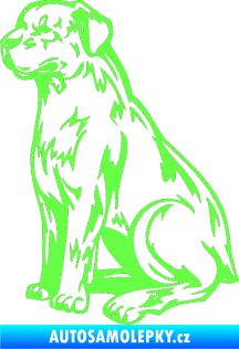 Samolepka Pes 032 levá Fluorescentní zelená