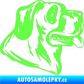 Samolepka Pes 046 pravá Fluorescentní zelená