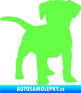 Samolepka Pes 056 pravá štěně Fluorescentní zelená