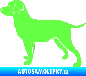 Samolepka Pes 062 levá Labrador Fluorescentní zelená