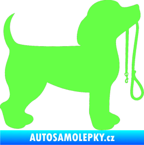 Samolepka Pes 063 pravá štěnátko s vodítkem Fluorescentní zelená