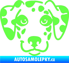 Samolepka Pes 064 Dalmatin Fluorescentní zelená