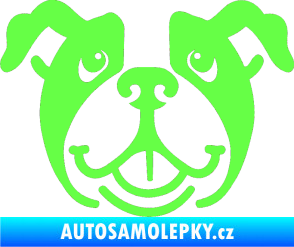 Samolepka Pes 069 Buldoček Fluorescentní zelená