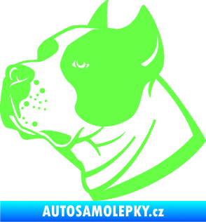 Samolepka Pes 081 levá Stafordširský bulteriér Fluorescentní zelená