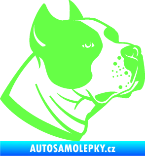 Samolepka Pes 081 pravá Stafordširský bulteriér Fluorescentní zelená