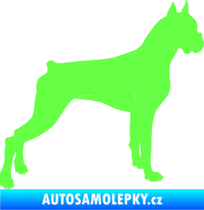 Samolepka Pes 087 pravá Boxer Fluorescentní zelená