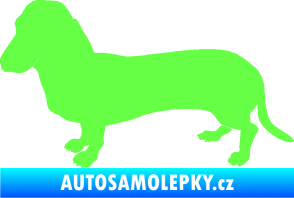 Samolepka Pes 094 levá Baset Fluorescentní zelená