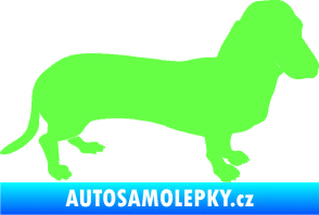 Samolepka Pes 094 pravá Baset Fluorescentní zelená