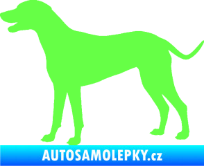 Samolepka Pes 095 levá Dalmatin Fluorescentní zelená