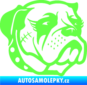 Samolepka Pes 097 pravá Buldok Fluorescentní zelená