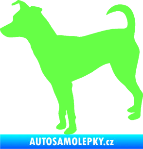 Samolepka Pes 100 levá Pražský krysařík Fluorescentní zelená