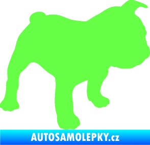 Samolepka Pes 108 pravá Francouzský buldoček Fluorescentní zelená