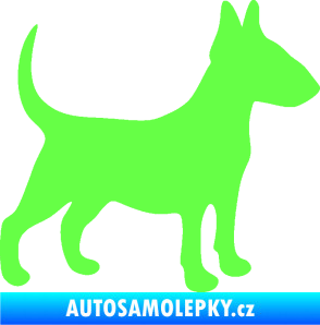 Samolepka Pes 110 pravá Bulteriér Fluorescentní zelená
