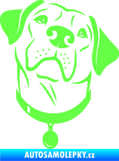 Samolepka Pes 119 pravá Labrador Fluorescentní zelená
