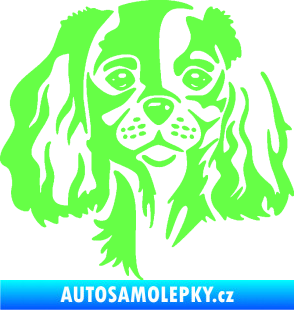 Samolepka Pes 132 levá Cavalier king Charles spaniel Fluorescentní zelená