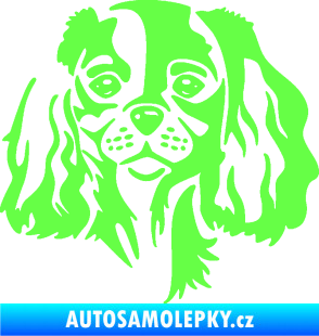 Samolepka Pes 132 pravá Cavalier king Charles spaniel Fluorescentní zelená