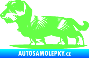 Samolepka Pes 133 levá drsnosrstý jezevčík Fluorescentní zelená