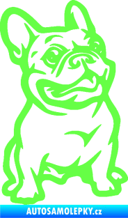 Samolepka Pes 139 pravá francouzský buldoček Fluorescentní zelená