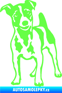 Samolepka Pes 144 levá Jack Russel terier Fluorescentní zelená
