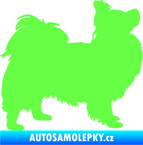 Samolepka Pes 149 pravá papillon Fluorescentní zelená