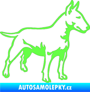 Samolepka Pes 153 pravá  Bulteriér Fluorescentní zelená