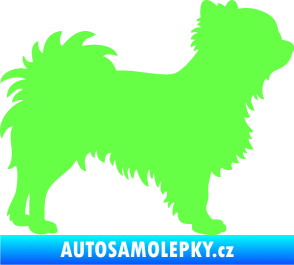 Samolepka Pes 156 pravá čivava Fluorescentní zelená