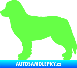Samolepka Pes 157 levá bernský salašnický Fluorescentní zelená