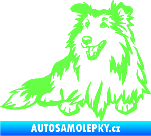 Samolepka Pes 162 levá sheltie Fluorescentní zelená