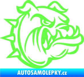 Samolepka Pes 171 pravá rozzuřený buldok Fluorescentní zelená