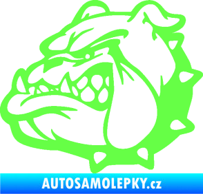 Samolepka Pes 174 levá rozzuřený buldok Fluorescentní zelená