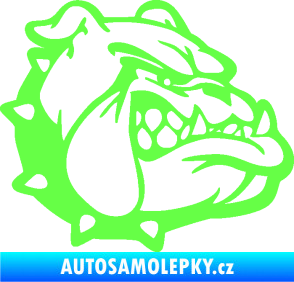 Samolepka Pes 174 pravá rozzuřený buldok Fluorescentní zelená