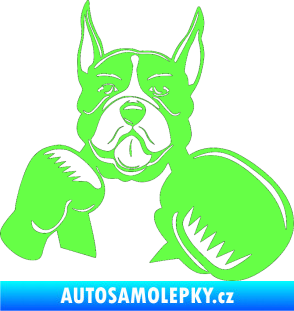 Samolepka Pes 183 pravá boxer Fluorescentní zelená
