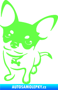 Samolepka Pes 186 levá čivava Fluorescentní zelená