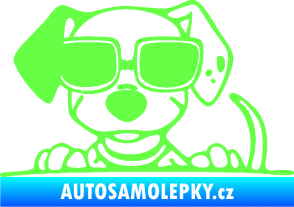 Samolepka Pes s brýlemi 101 levá v autě Fluorescentní zelená
