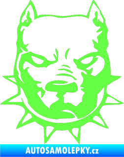 Samolepka Pitbull hlava 002 levá Fluorescentní zelená