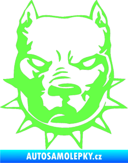 Samolepka Pitbull hlava 002 pravá Fluorescentní zelená