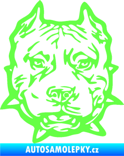 Samolepka Pitbull hlava 003 pravá Fluorescentní zelená