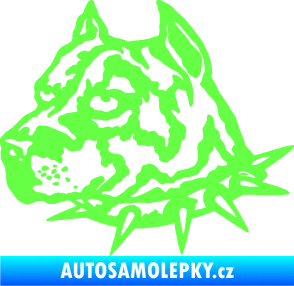 Samolepka Pitbull hlava 006 levá Fluorescentní zelená